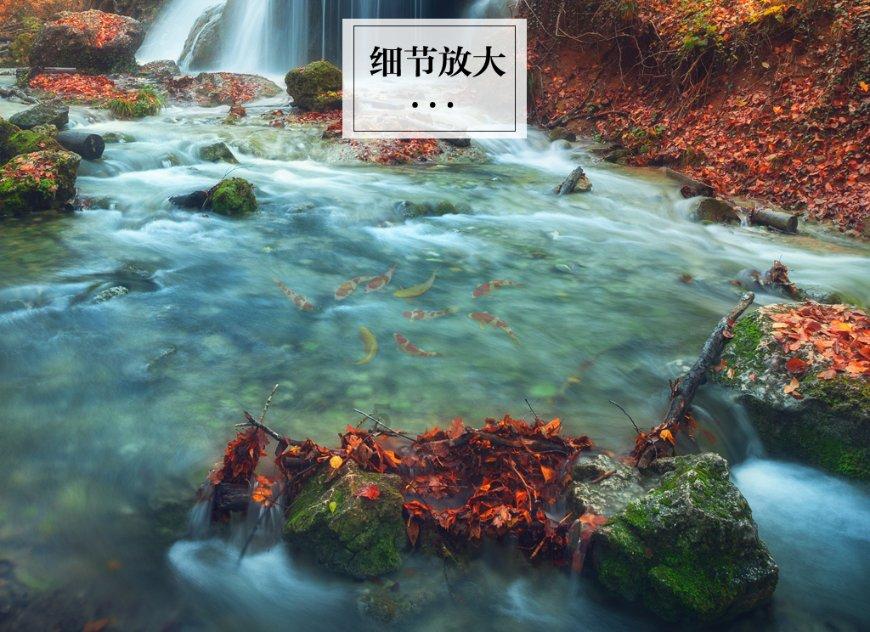 皇冠地下城